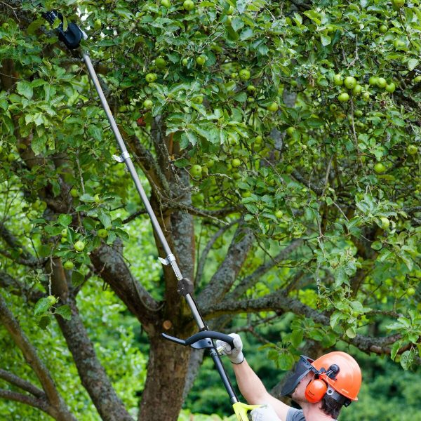 Consigue un descuento real Motosierra Ryobi 25 cm Venta caliente en línea - Imagen 3