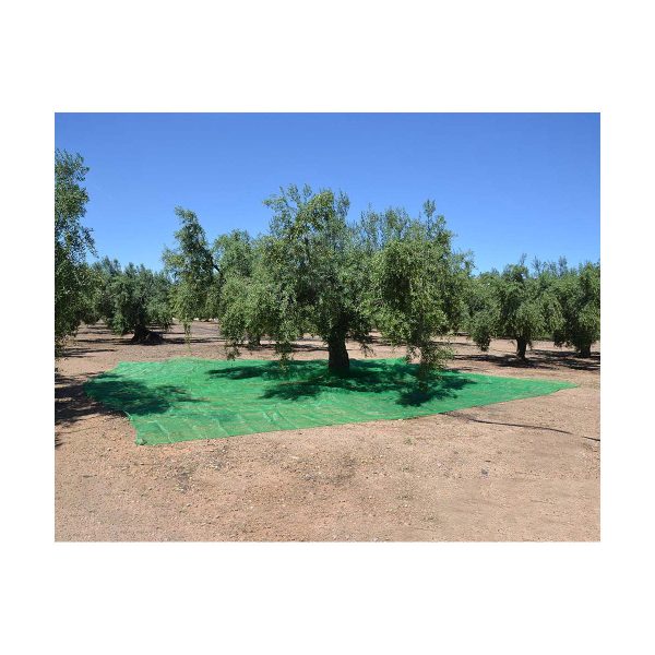 Comprando Lona de Protección Verde Polipropileno (5 x 8 m) En línea ahora - Imagen 2