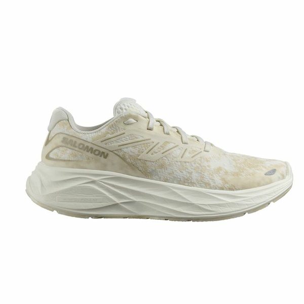 Auténtico, oficial y original Zapatillas de Running para Adultos Salomon Aero Glide 2 Beige Mujer En oferta